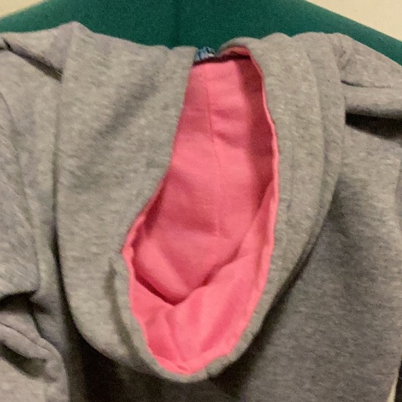 Coney Island 4T Pink& Gray Hoodie Princess Carter’s floral pants, West Coast T - Picture 8 of 16